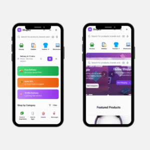 web development in raipur